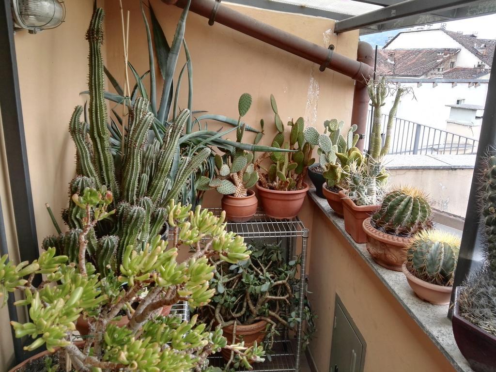 A Casa Di Gio Turin Exterior photo