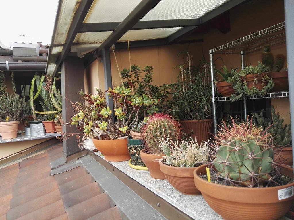 A Casa Di Gio Turin Exterior photo